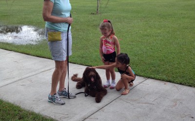 Mocha loves meeting kiddos