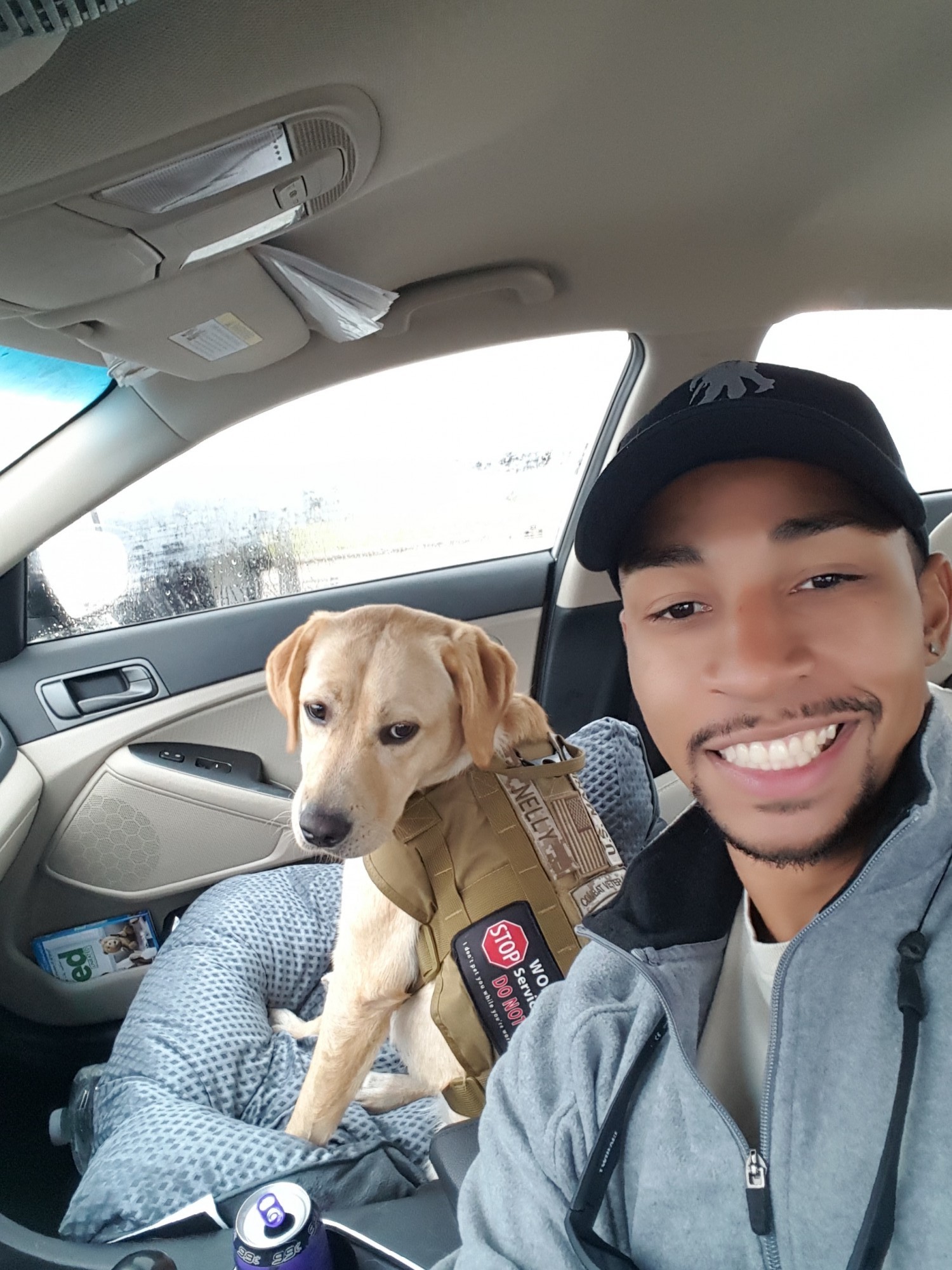 Nelly Rapper Dog Nelly learns the skills to be a Service Dog - Pawsitive Focus