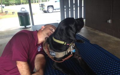 Lt. Fred – All about helping my owner. I’m a Service Dog.