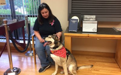 Hank now Easy to Handle – Now a Service Dog
